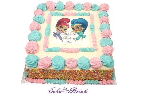 Shimmer And Shine Cake