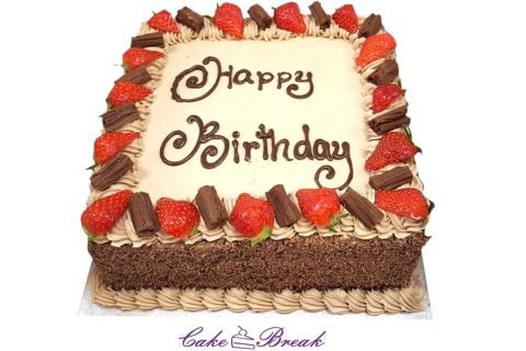 Chocolate Cream Cake