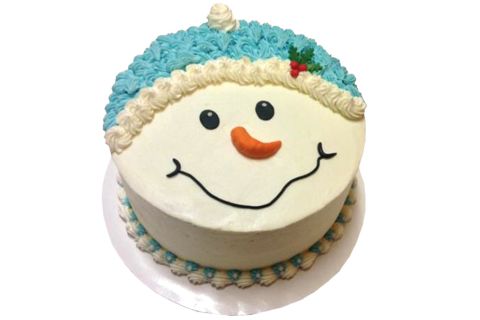 Simple Christmas Cake