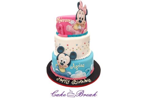 Mickey And Minnie Cake