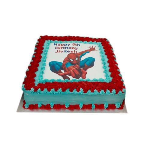 Spiderman Picture Cake